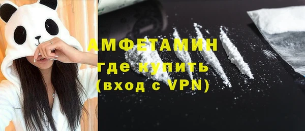 прущие грибы Новодвинск