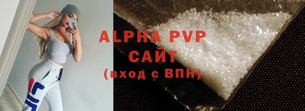 прущие грибы Новодвинск
