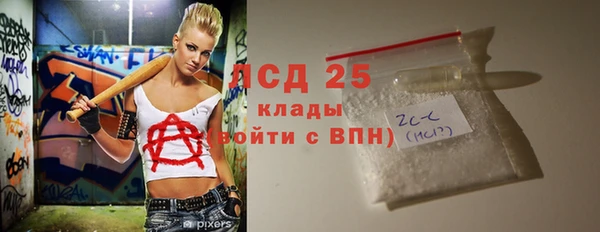 прущие грибы Новодвинск