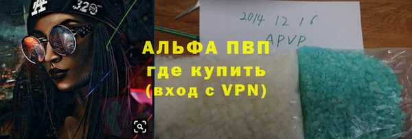 прущие грибы Новодвинск