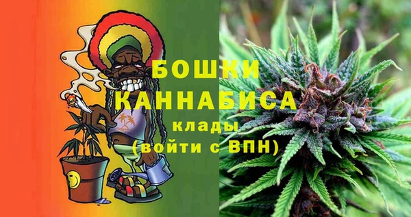гашик Новокубанск
