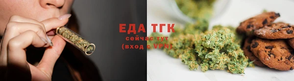 прущие грибы Новодвинск