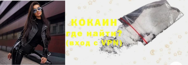 прущие грибы Новодвинск