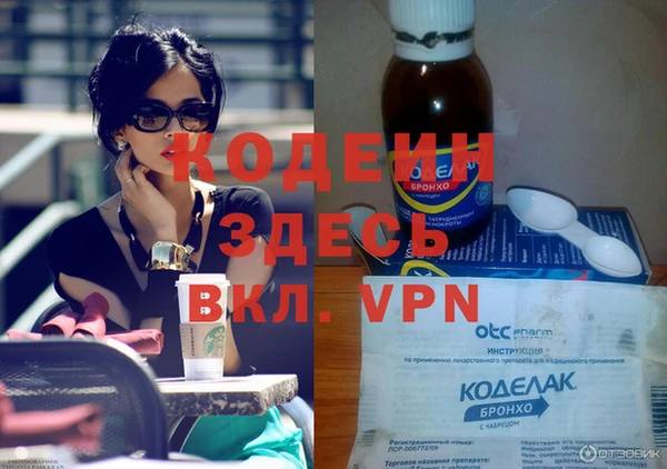 прущие грибы Новодвинск
