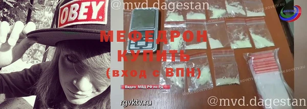 прущие грибы Новодвинск
