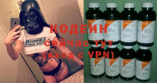 прущие грибы Новодвинск