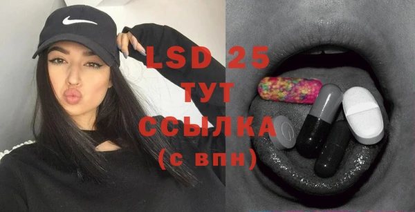 прущие грибы Новодвинск