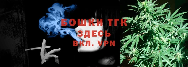 прущие грибы Новодвинск