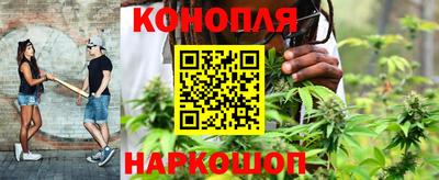 ГАЛЛЮЦИНОГЕННЫЕ ГРИБЫ Кинель